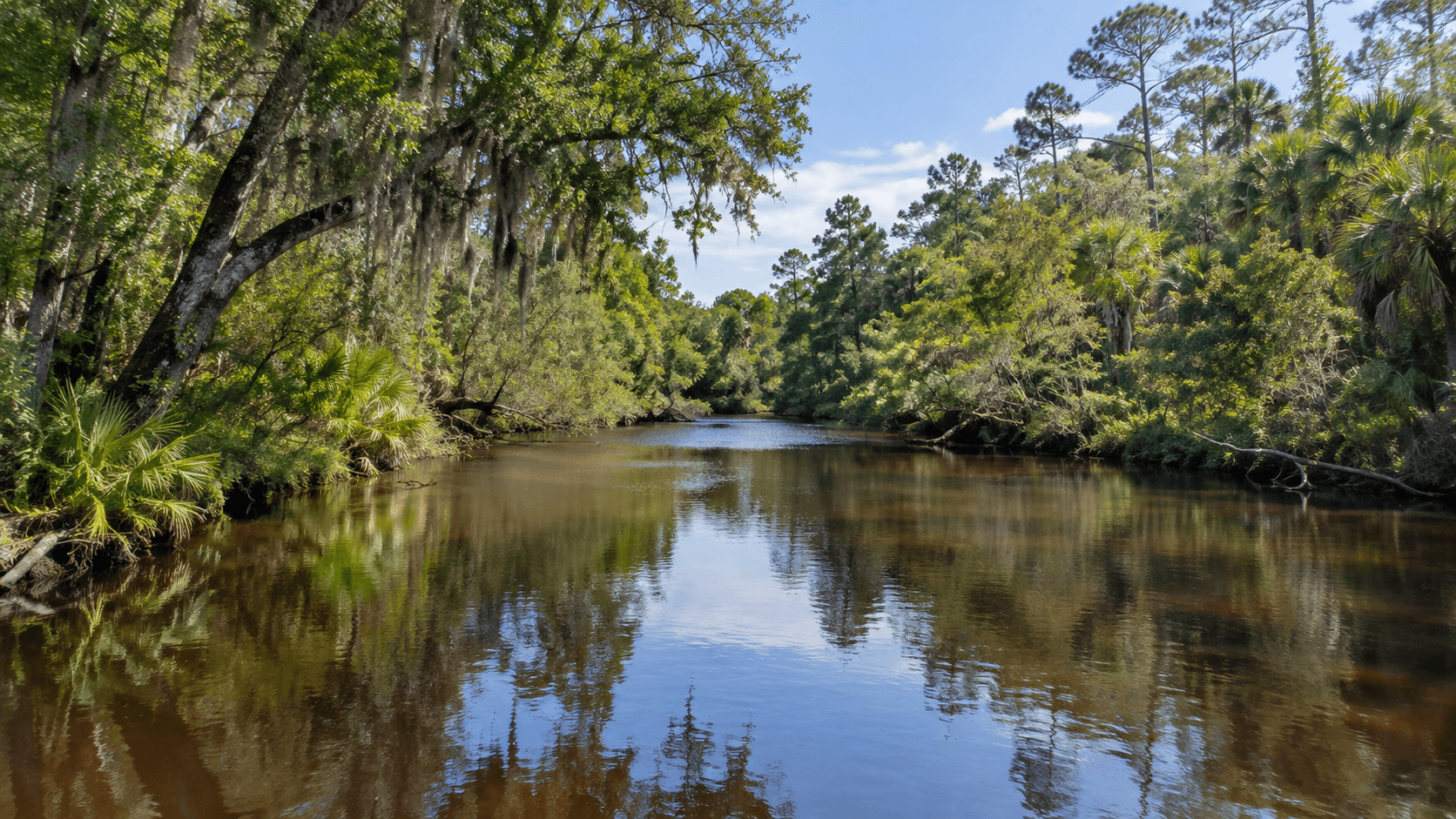 Loxahatchee River at Jonathan Dickinson State Park